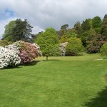 Killerton garden
