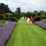 Houghton garden view