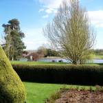 From garden towards lake