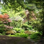 Tatton Japanese Garden