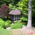 Tea House, Japanese Gdn