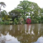 Fish Pond, Cadhay