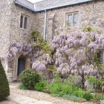 South front, Cadhay